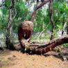 images/Schweden/Schweden 2009/IMG_4505.jpg